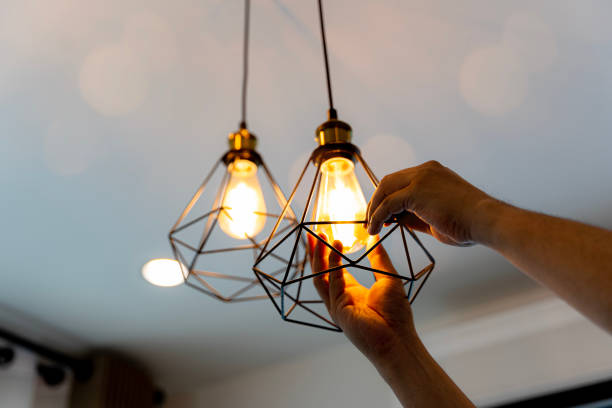 Best Electric Panel Repair  in Bourg, LA